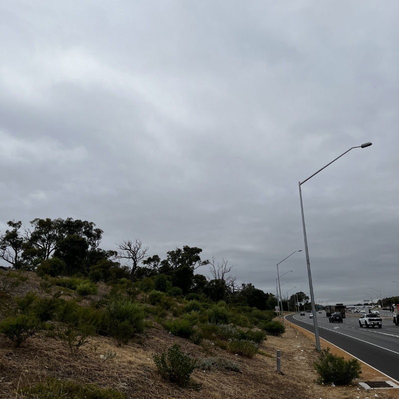 UGC - MRWA Tonkin Gap Project (Soft Landscaping) 1