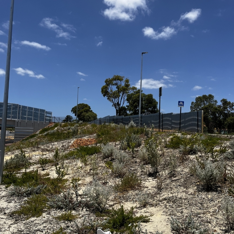 UGC - MRWA Tonkin Gap Project (Soft Landscaping) 3