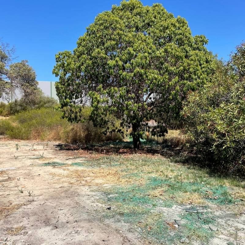 UGC - MRWA Tonkin Gap Project (Soft Landscaping) 8