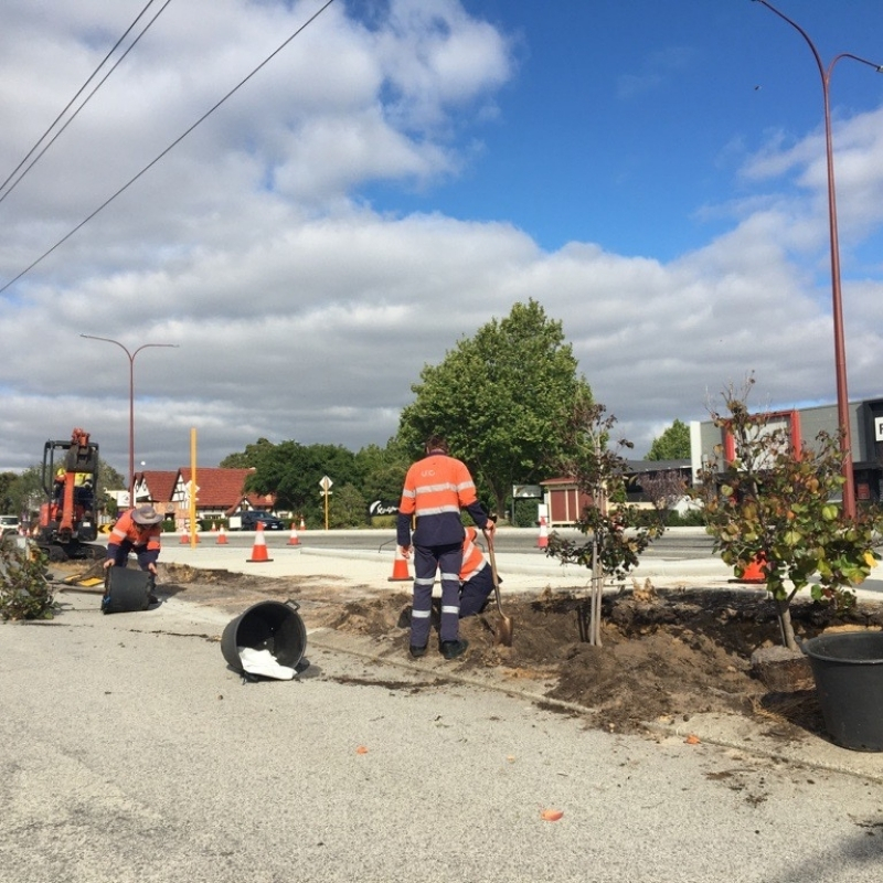UGC - Soft Landscaping (Canning Vale) 1