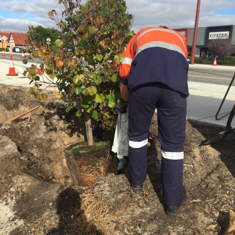 UGC - Soft Landscaping (Canning Vale) 2
