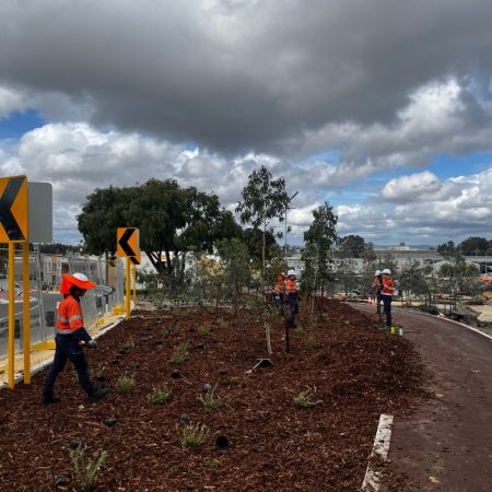 UGC - METRONET Bayswater Public Open Space & Railway Parade Streetscape - 5
