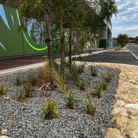 UGC - METRONET Bayswater Public Open Space & Railway Parade Streetscape - 9